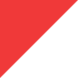 Your Party